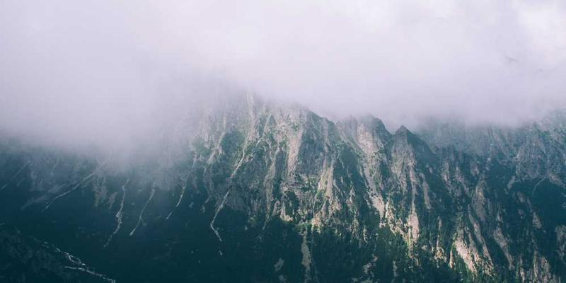 《青霜晨曦》